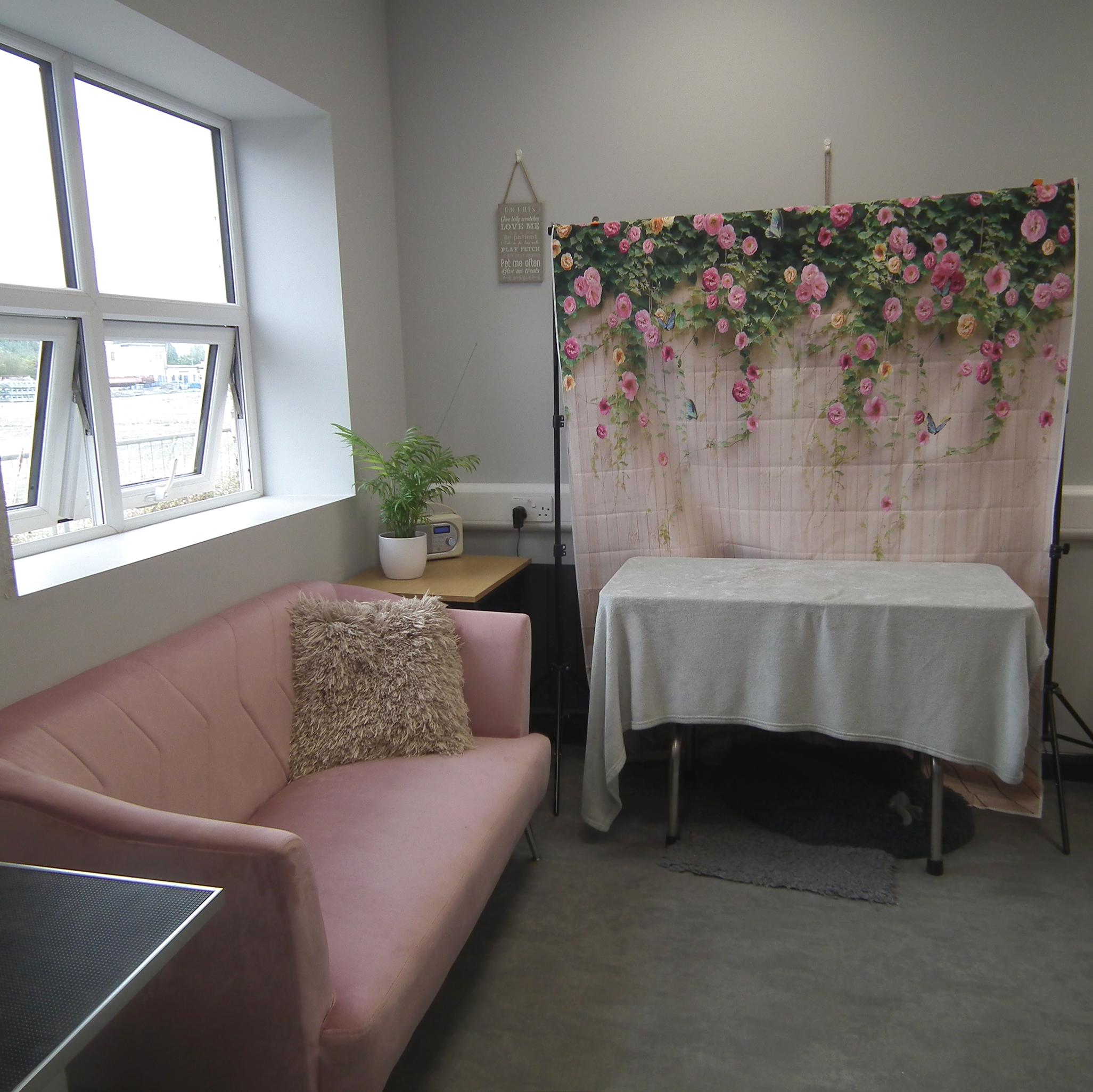 Salon image 6 of the Bonny Dogs Grooming Salon