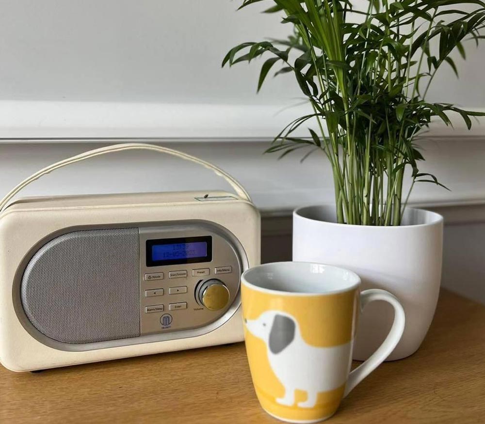 Salon image 8 of the Bonny Dogs Grooming Salon