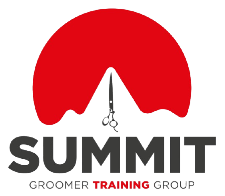 The Summit Logo